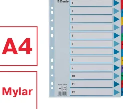 Register ESSELTE Mylar A4 1-12 multifärgat