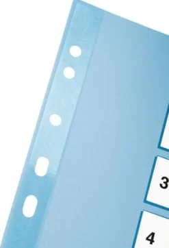 Register ESSELTE Mylar A4 1-12 multifärgat