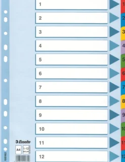 Register ESSELTE Mylar A4 1-12 multifärgat