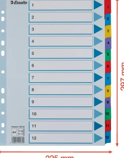 Register ESSELTE Mylar A4 1-12 multifärgat