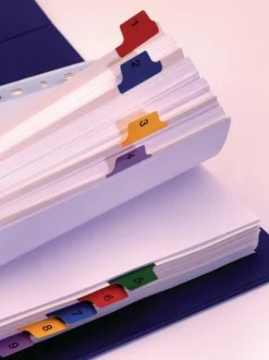 Register ESSELTE Mylar A4 1-12 multifärgat