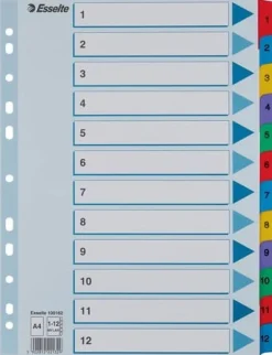 Register ESSELTE Mylar A4 1-12 multifärgat
