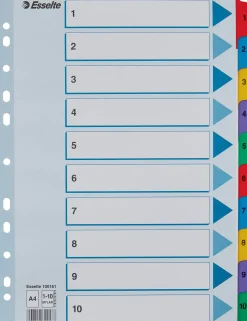 Register ESSELTE Mylar A4 1-10 multifärgat