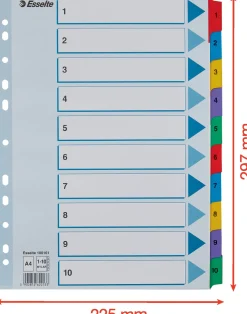 Register ESSELTE Mylar A4 1-10 multifärgat