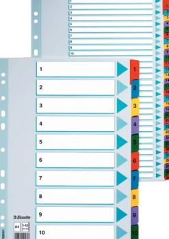Register ESSELTE Mylar A4 1-20 multifärgat