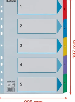Register ESSELTE Mylar A4 1-5 multifärgat