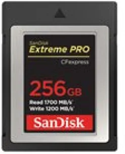SanDisk Extreme PRO - Flash-minneskort - 256 GB - CFexpress