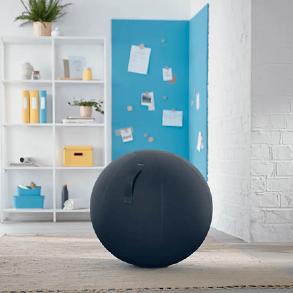 Sittboll LEITZ Ergo Cosy Aktiv