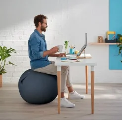 Sittboll LEITZ Ergo Cosy Aktiv