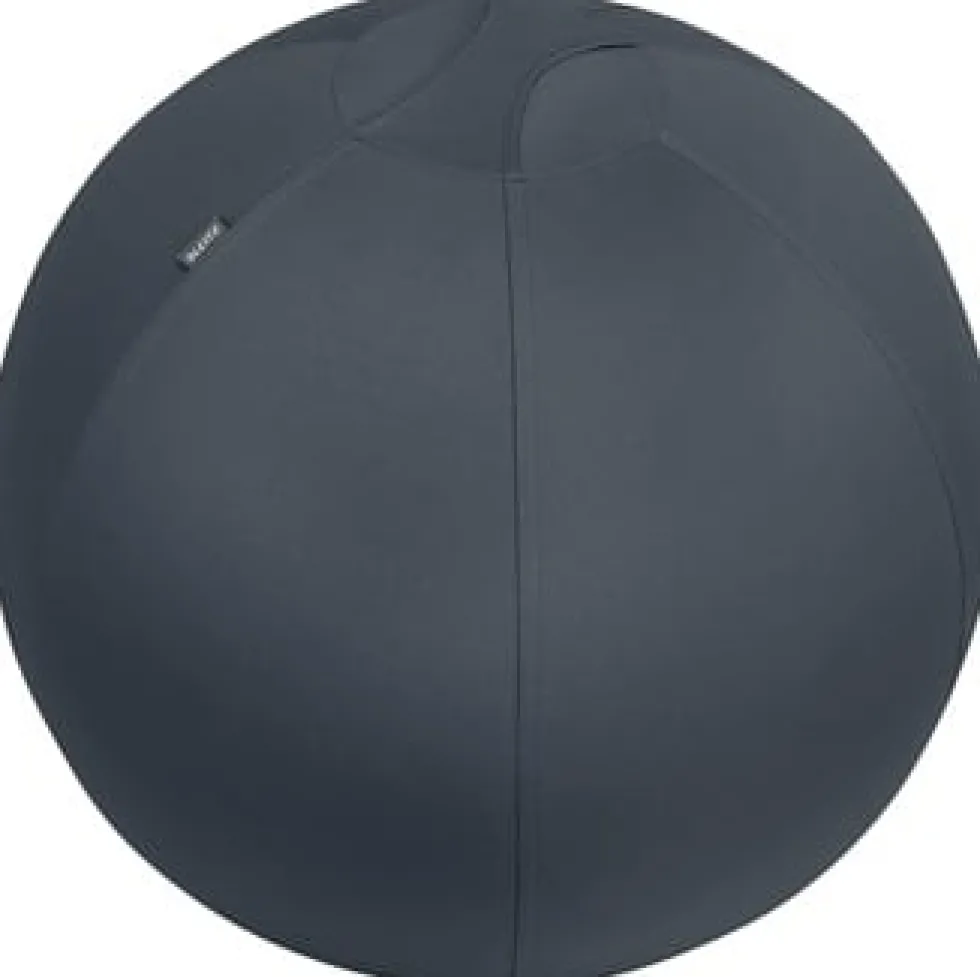 Sittboll LEITZ Ergo Cosy Aktiv