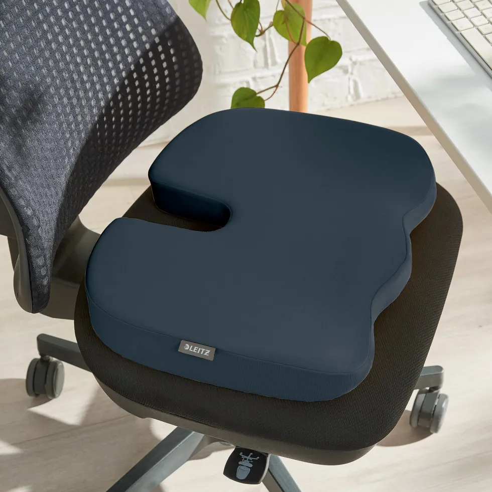 Sittkudde LEITZ Ergo Cosy