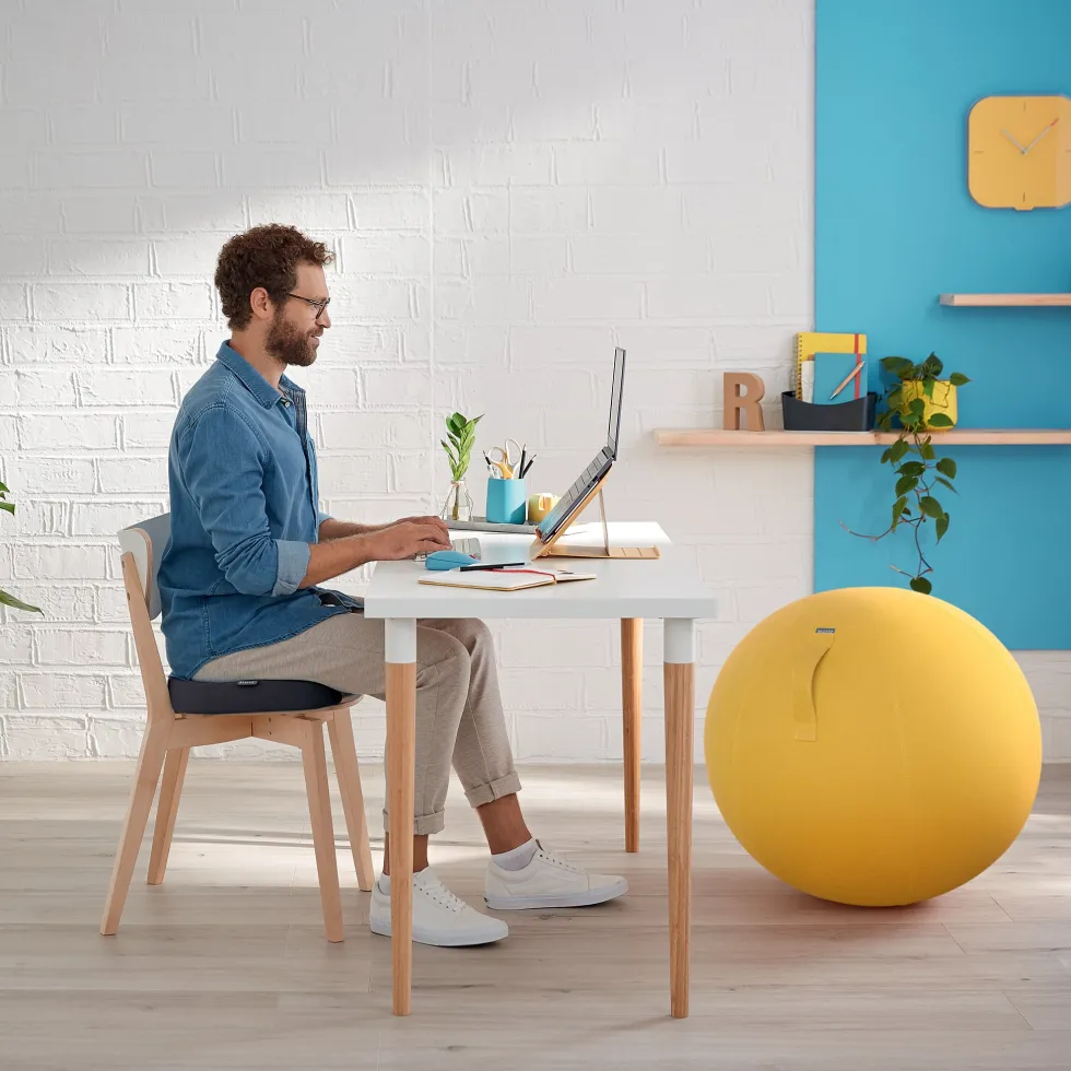 Sittkudde LEITZ Ergo Cosy
