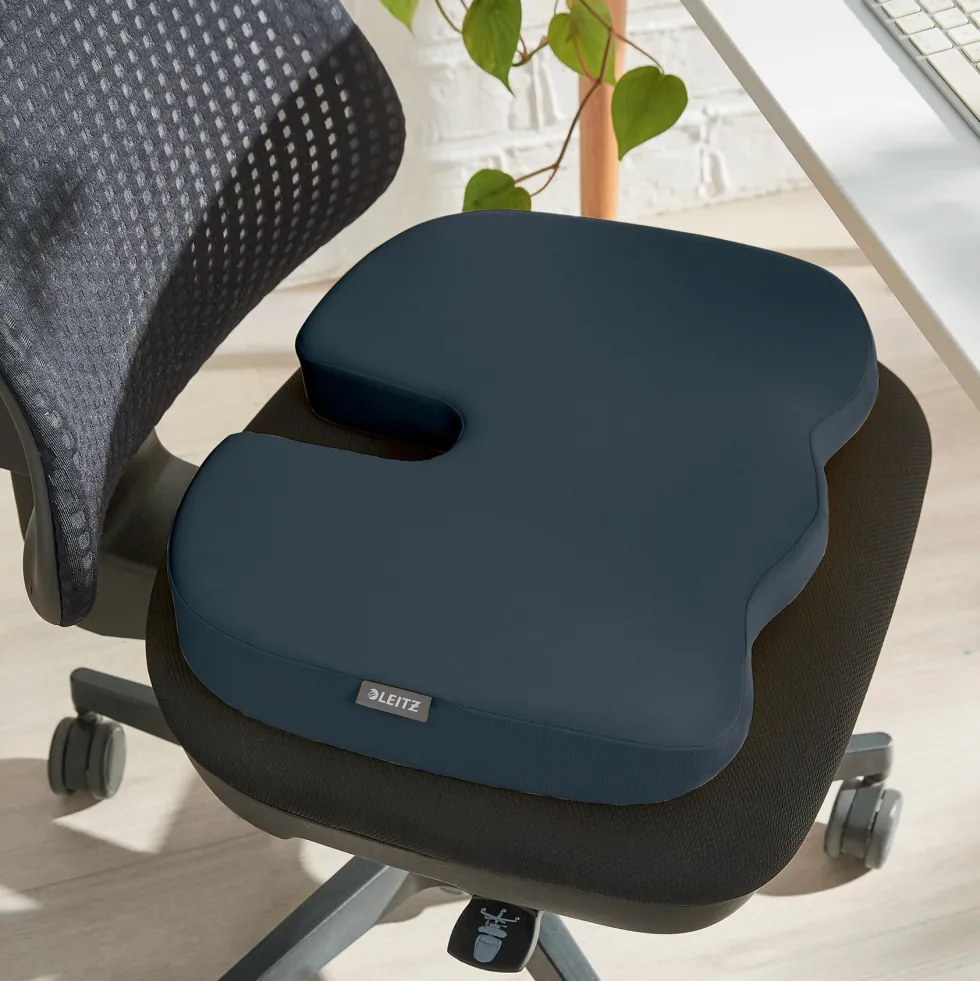 Sittkudde LEITZ Ergo Cosy
