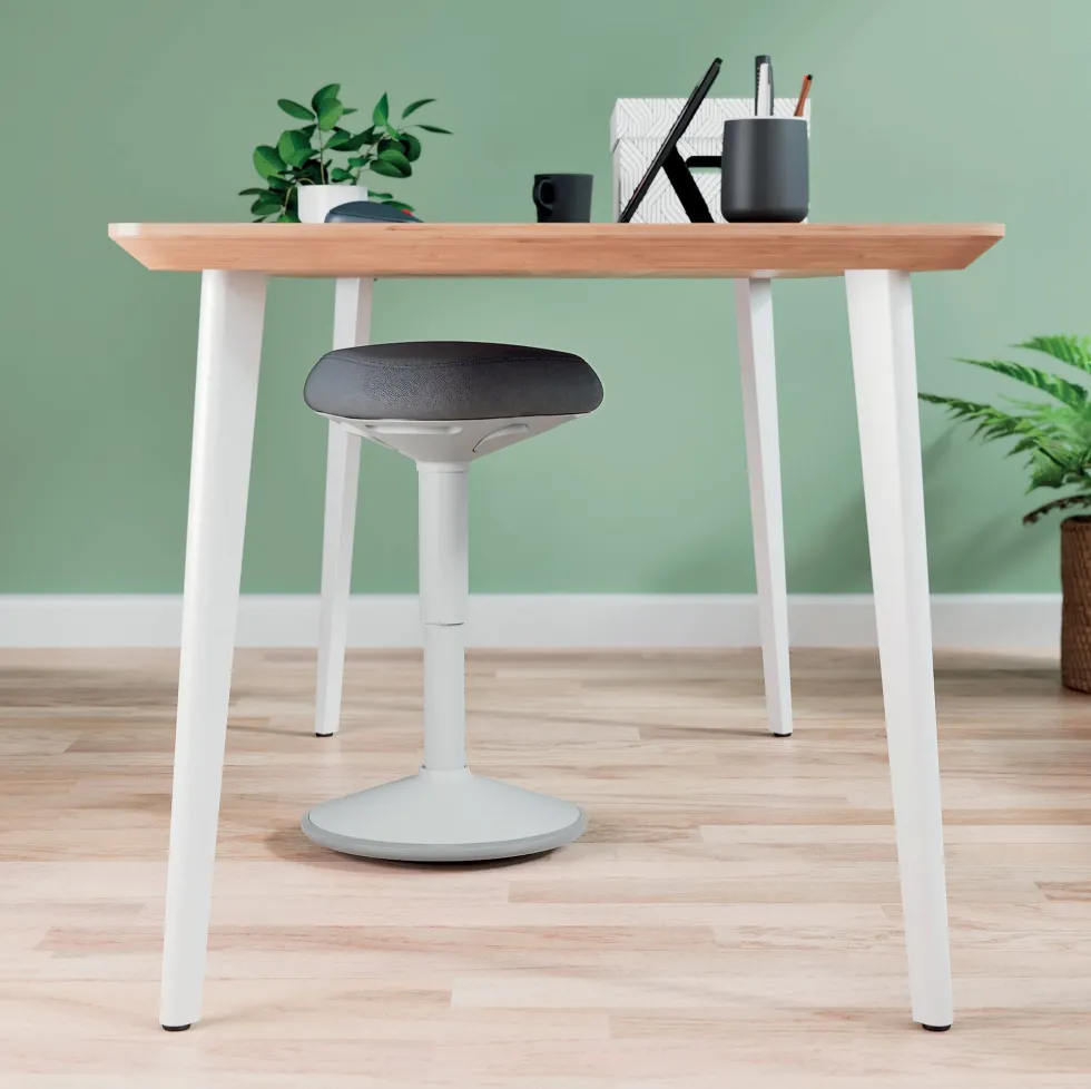 Sittpall LEITZ Ergo Active Ljusgrå