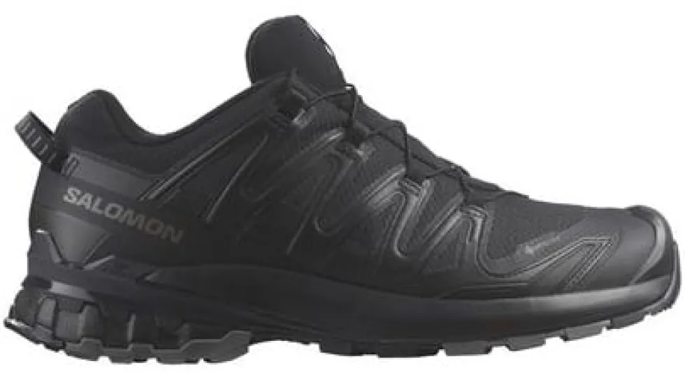 Sko SALOMON XA Pro v9 GTX dam sv 36