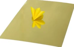 Spegelkartong 25x35cm 280g guld 20/fp