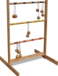 Spin ladder