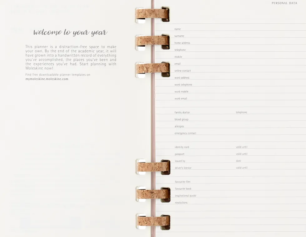 Spiral Planner 12M Large Almond 2026