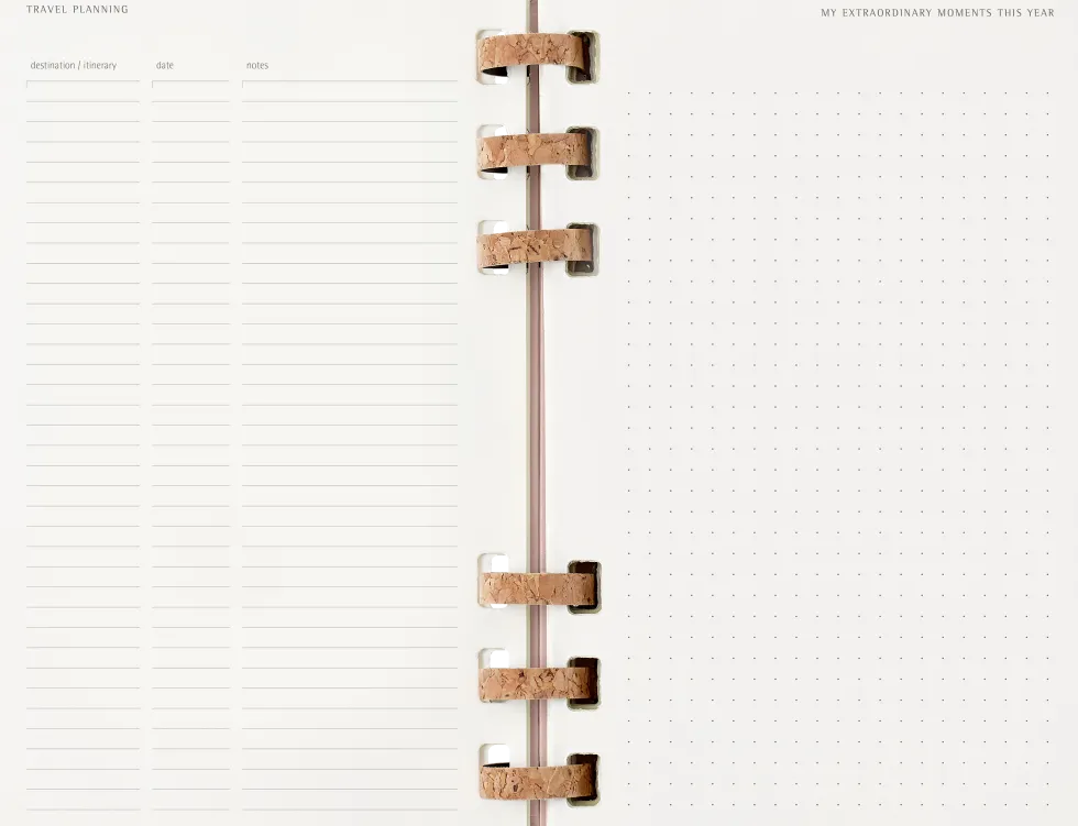 Spiral Planner 12M Large Almond 2026