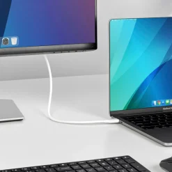 StarTech.com 6.6ft (2m) USB C to DisplayPort 1.2 Cable,