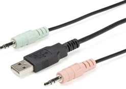 StarTech.com 2 Port USB 4K60Hz DisplayPort KVM-switch med