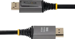 StarTech - DisplayPort-kabel - DisplayPort (hane) spärrad till