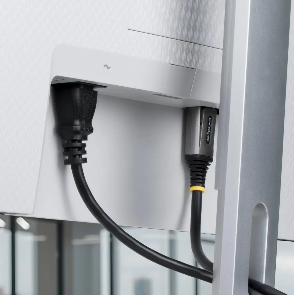 StarTech - DisplayPort-kabel - DisplayPort (hane) spärrad till