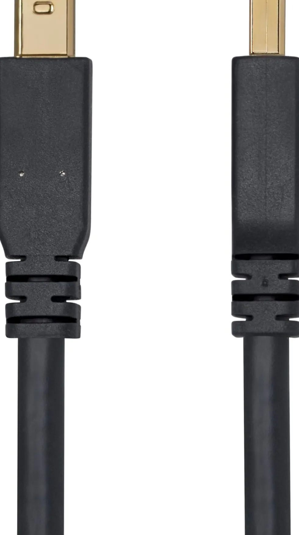 StarTech Mini DP to DisplayPort 1.4 Cable 8K 60Hz HBR3 4K