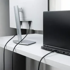 StarTech Mini DP to DisplayPort 1.4 Cable 8K 60Hz HBR3 4K