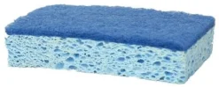 Svamp Activa Cellulosa Blå nylon, utan slipmedel, 4/FP