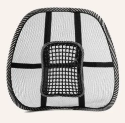 Svankstöd SWEDISH POSTURE