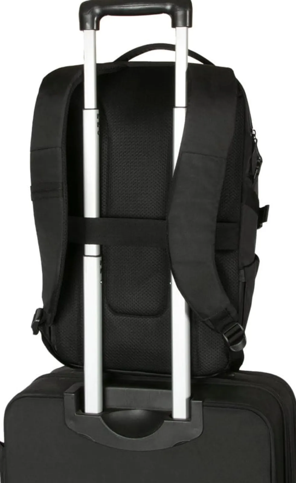 Targus Terra EcoSmart - Ryggsäck för bärbar dator - 15" - 16"