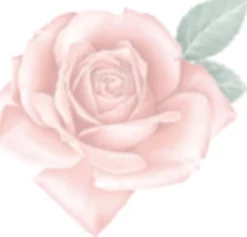 Tombow pencil Irojiten cameo pink