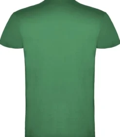 T-shirt PF beagle herr mossgrön XS