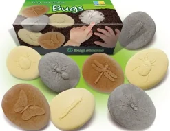 Undersök insekter av sten 8/fp