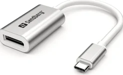 USB-C to DisplayPort Link, Silver