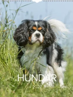Väggkalender Stora Hundkalendern 2027