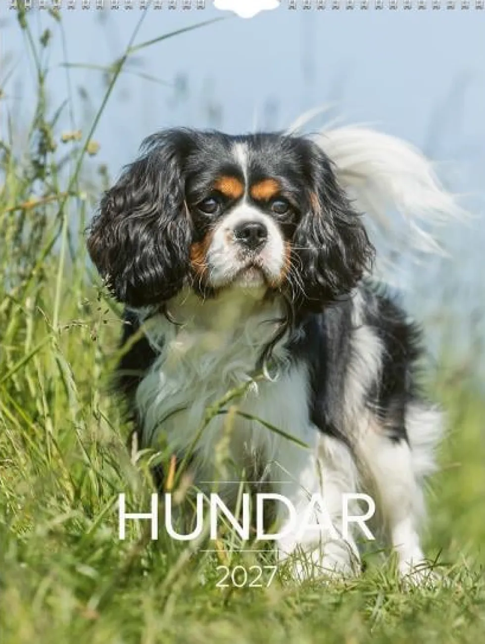 Väggkalender Stora Hundkalendern 2027