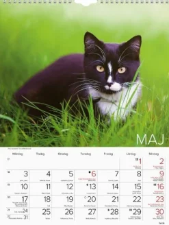 Väggkalender Stora Kattkalendern 2027