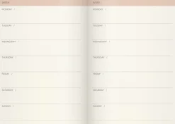 Week Planner Deluxe odaterad